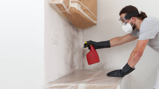 Professional Mold Removal technician working in Simpson, NC