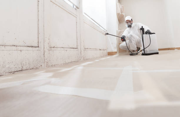 24/7 Emergency Mold Removal experts in Simpson, NC