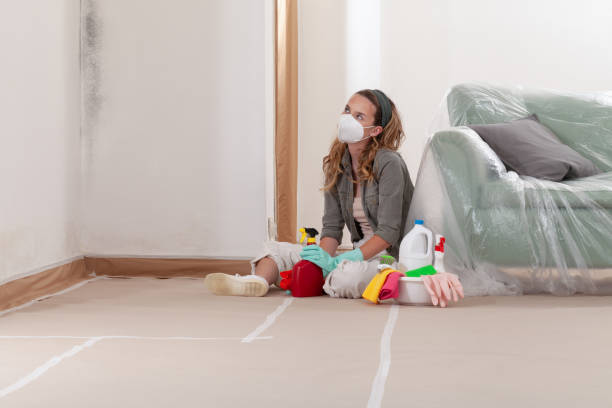 Reliable Mold Removal contractor in Simpson, NC by Mold Remediation HQ